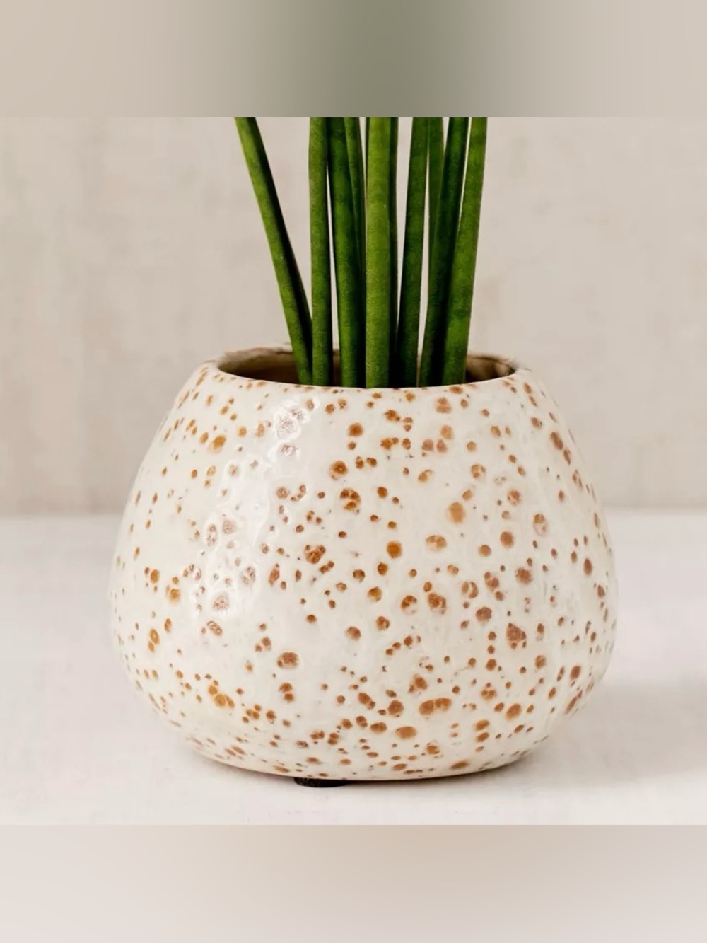 URBAN OUTFITTERS Speckled Planter